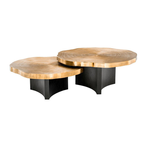 Eichholtz Thousand Oaks Coffee Table - Set of 2