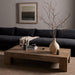 Abaso Rectangular Coffee Table