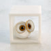 Global Views Alabaster Big Eyed Owl in Cube