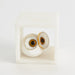 Global Views Alabaster Big Eyed Owl in Cube