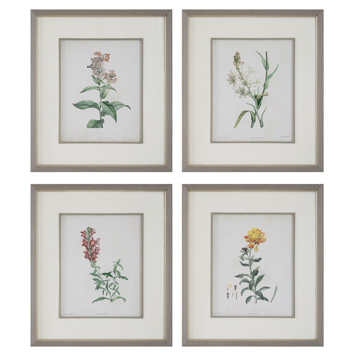 Uttermost Heirloom Blooms Study Framed Prints - Set of 4