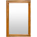 Surya Auckland Accent Mirror