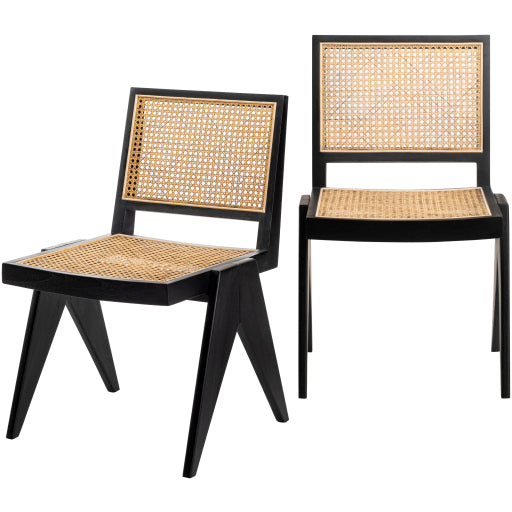 Surya Hague Dining Chair Set of 2