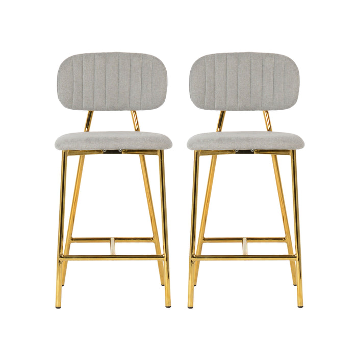 TOV Furniture Ariana Counter Stool Set of 2