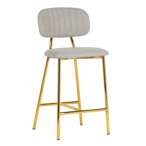 TOV Furniture Ariana Counter Stool Set of 2