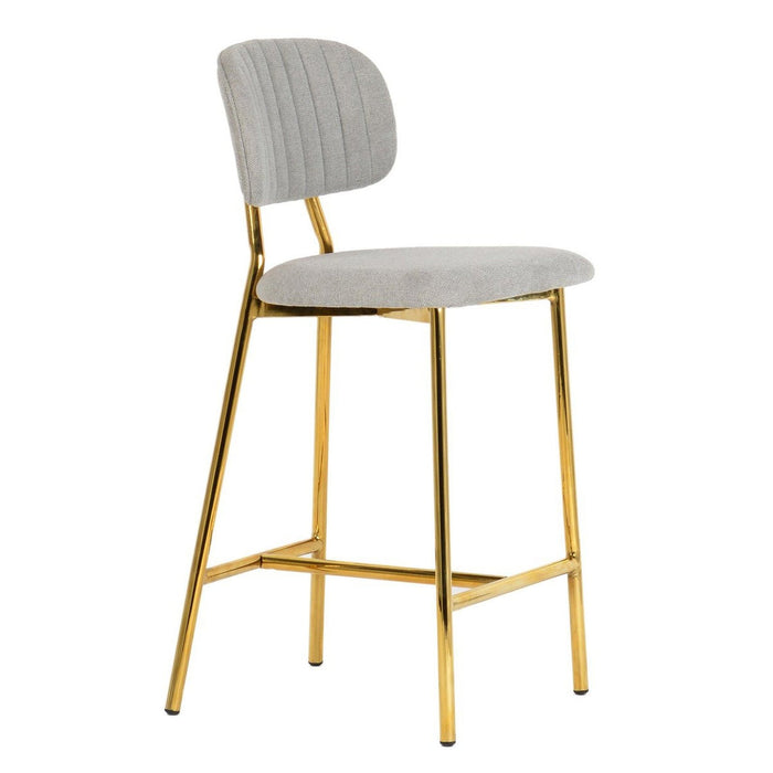 TOV Furniture Ariana Counter Stool Set of 2