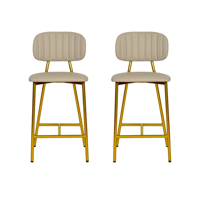 TOV Furniture Ariana Counter Stool Set of 2