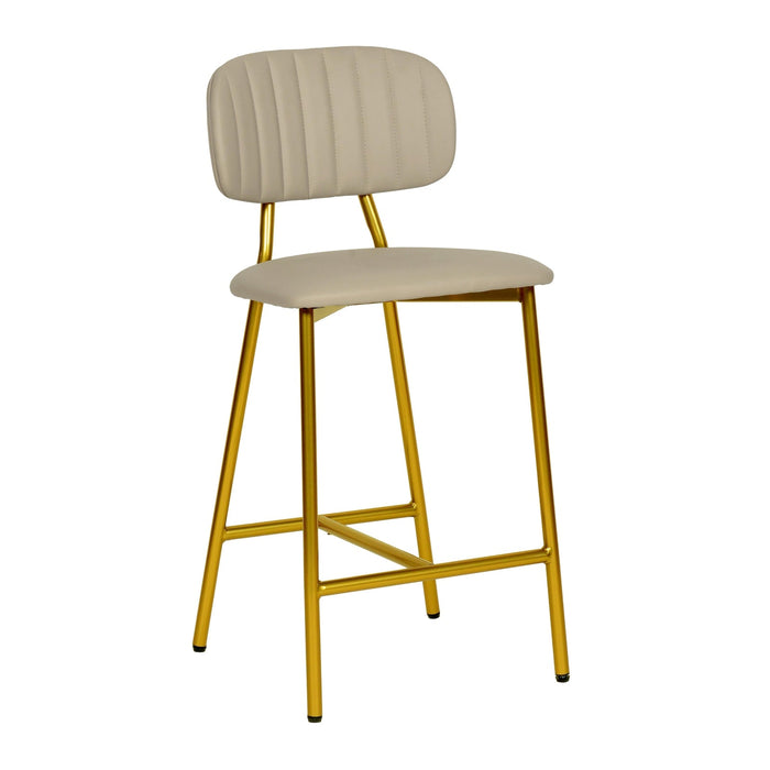 TOV Furniture Ariana Counter Stool Set of 2