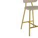 TOV Furniture Ariana Counter Stool Set of 2