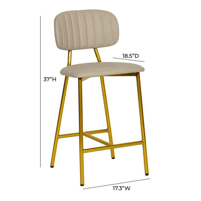 TOV Furniture Ariana Counter Stool Set of 2