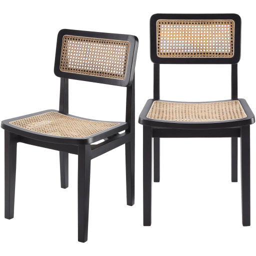 Surya Arxan Dining Chair Set of 2