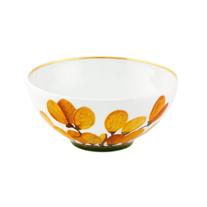 Vista Alegre Amazonia Cereal Bowl