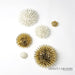 Global Views Urchin Wall Art by Ashley Childers