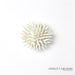 Global Views Urchin Wall Art by Ashley Childers