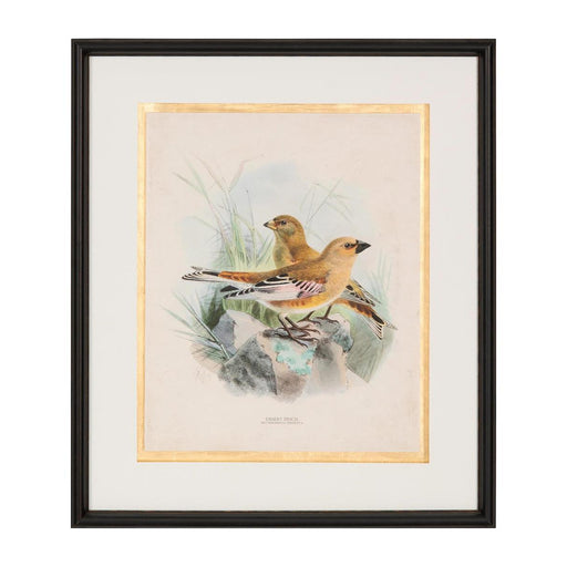 John Richard Antique Birds I Wall Art