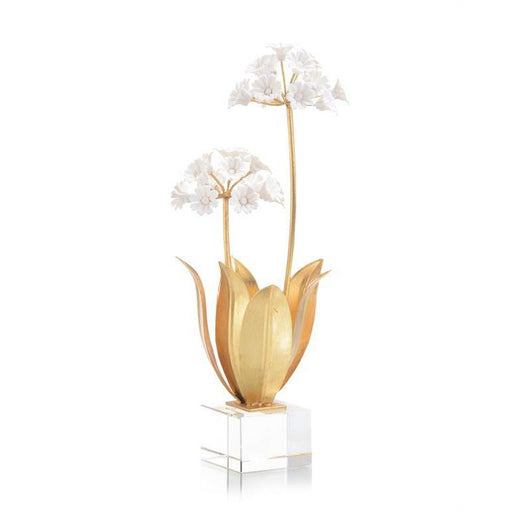 John Richard Allium Moly In Porcelain