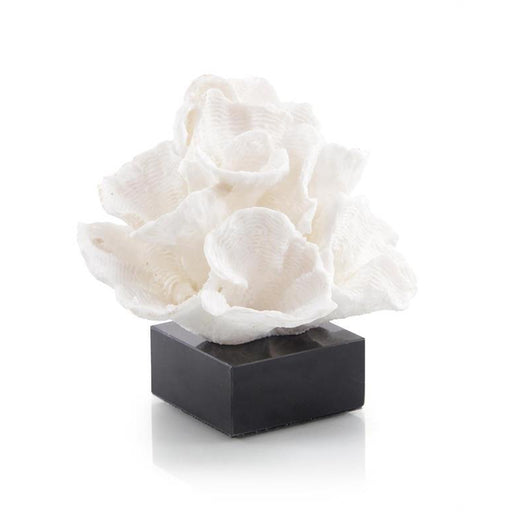 John Richard Foliose Coral On Black Marble Base