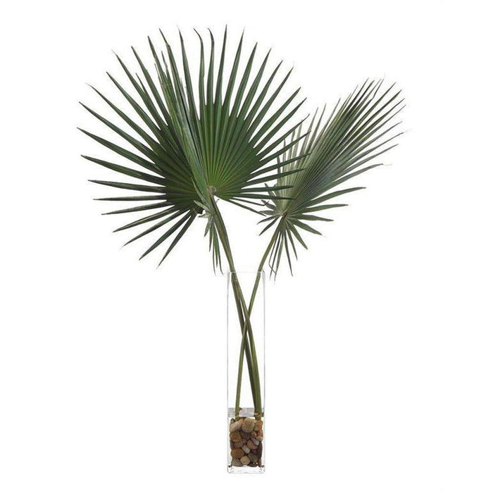 John Richard Delta Palmettos