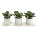 John Richard Marble Succulents