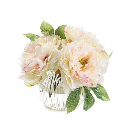 John Richard Dazzling Peonies