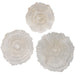 Uttermost Ocean Gems Coral Wall Decor - Set of 3