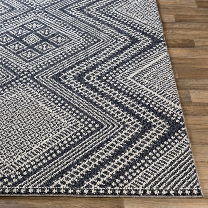 Surya Ariana RIA-2301 Rug