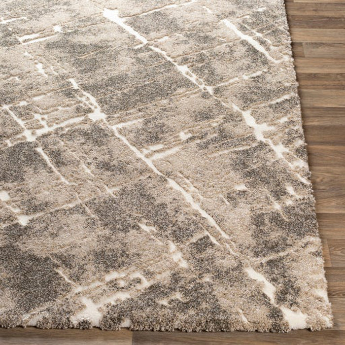 Surya Tuscany TUS-2300 Rug