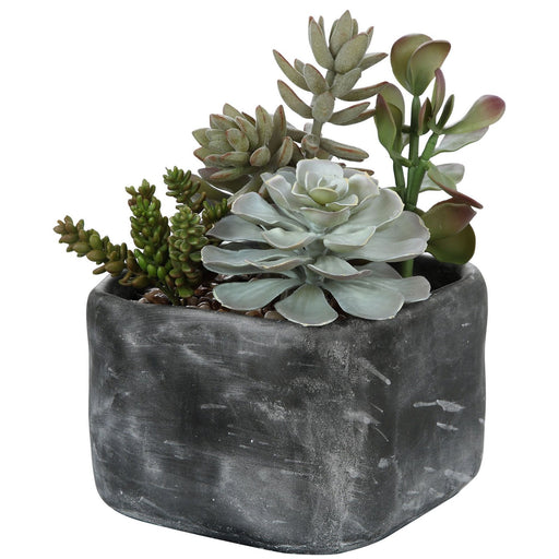 Uttermost Alverio Desert Garden Succulents