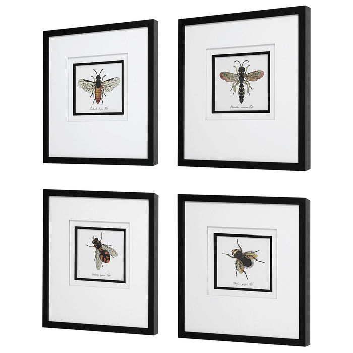 Uttermost Anthophila Framed Prints - Set of 4