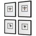 Uttermost Anthophila Framed Prints - Set of 4