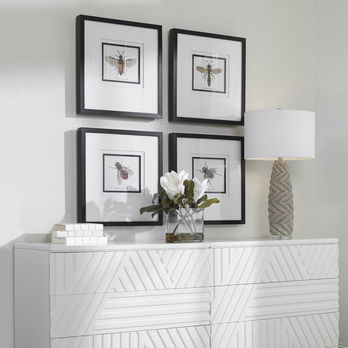 Uttermost Anthophila Framed Prints - Set of 4