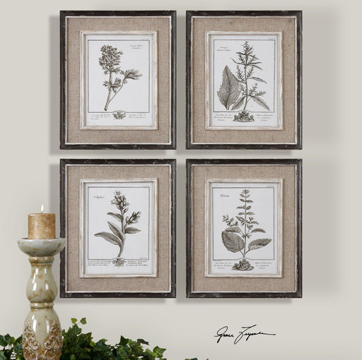 Uttermost Casual Grey Study Framed Art - Set of 4