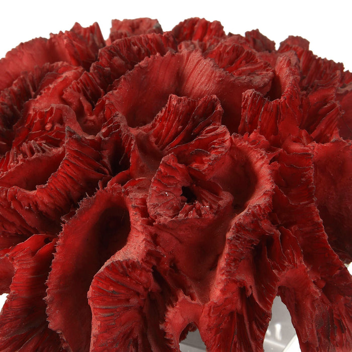 Uttermost Red Coral Cluster