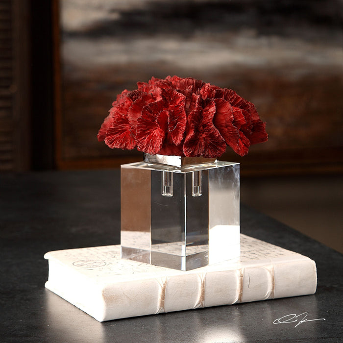 Uttermost Red Coral Cluster