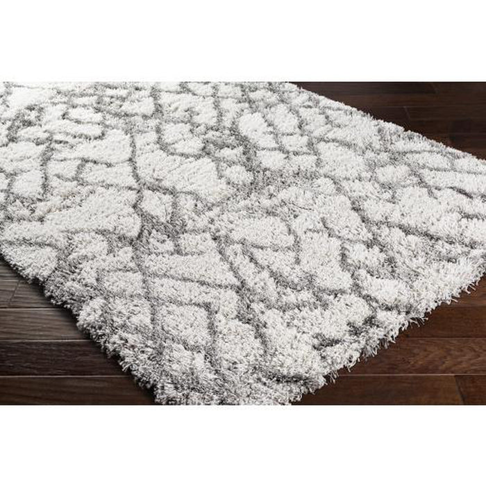 Surya Alta shag ASG-2300 Rug