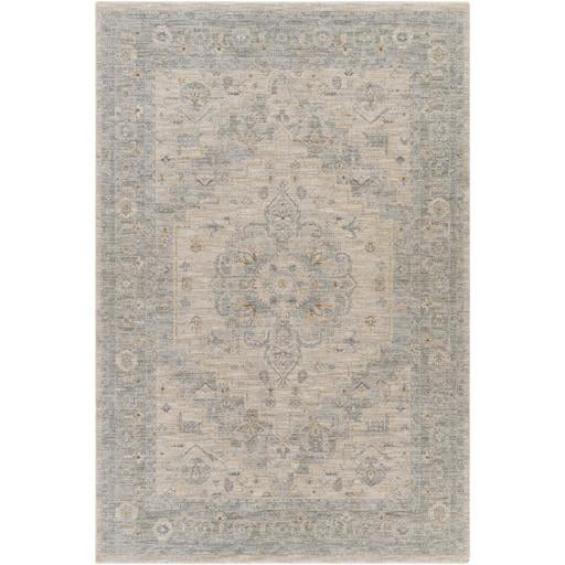 Surya Avant Garde AVT-2302 Rug