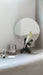 Lladro Parrot Vanity Vanity Mirror