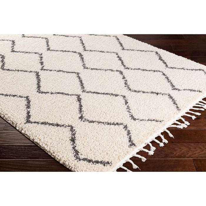 Surya Berber Shag BBE-2303 Rug