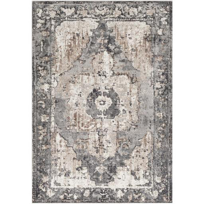 Surya Chelsea CSA-2304 Rug