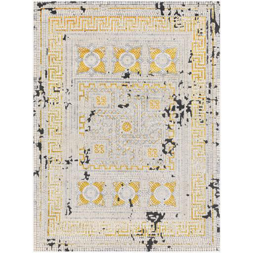 Surya Venezia VNZ-2300 Rug