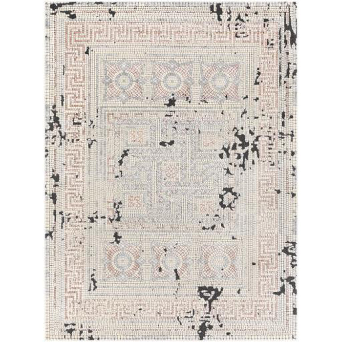 Surya Venezia VNZ-2301 Rug